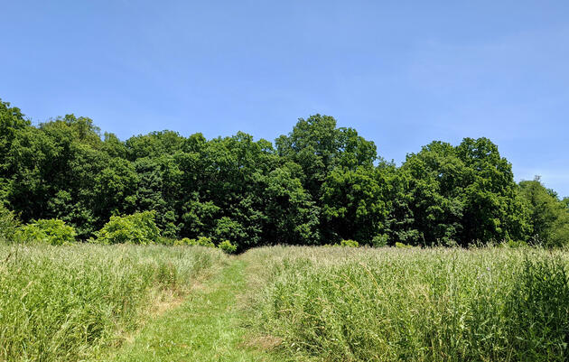 Member Adult Discovery Walk