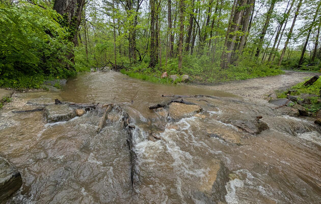 Warbler Way Trail Closed