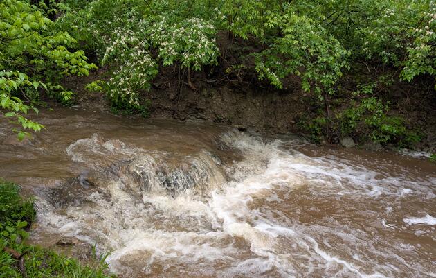 Warbler Way Trail Closed, Trolls Accessible