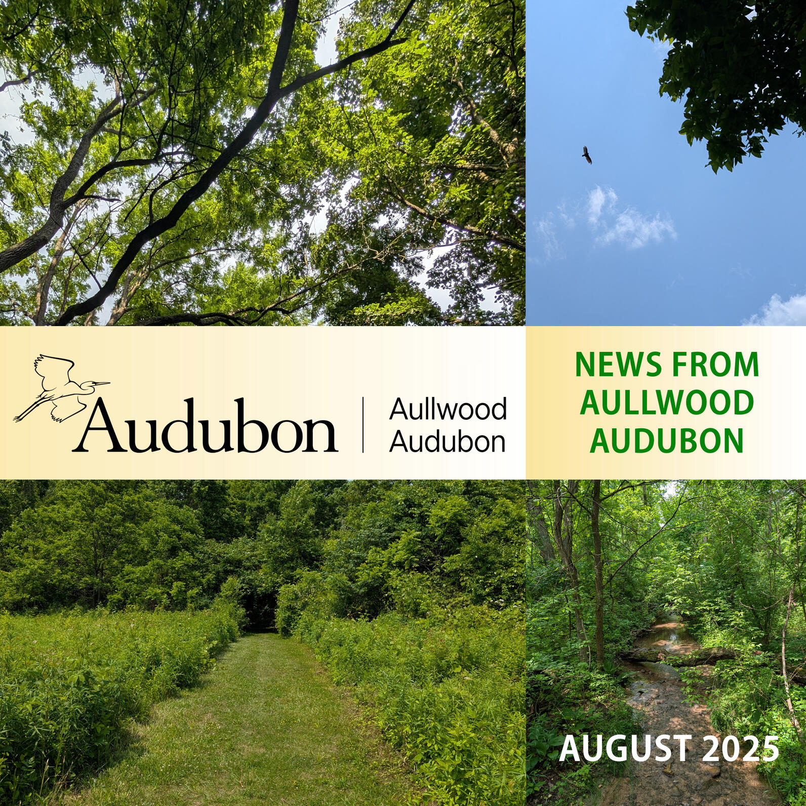 News from Aullwood Audubon August 2025 Header