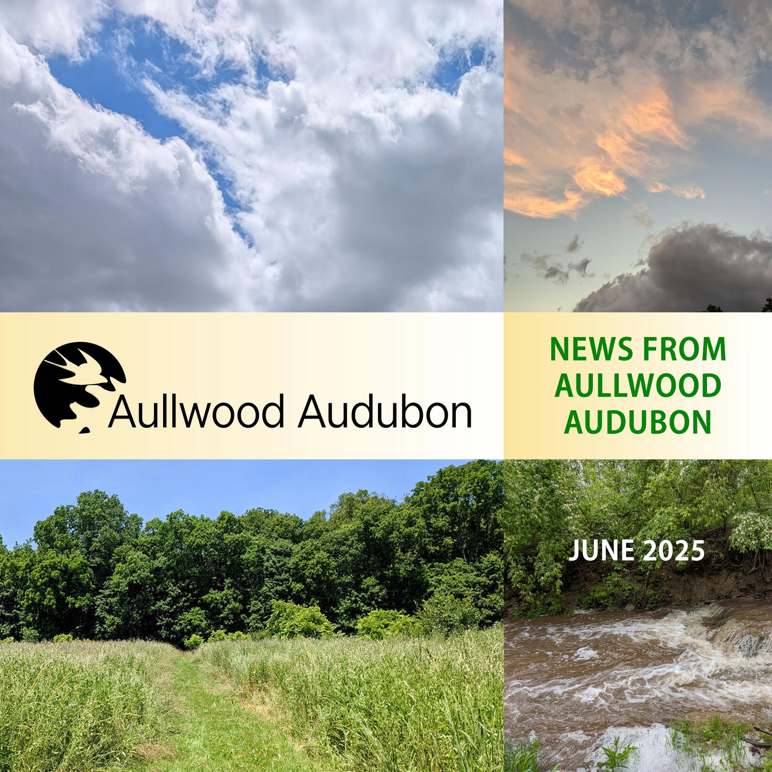 News from Aullwood Audubon June 2025 Header