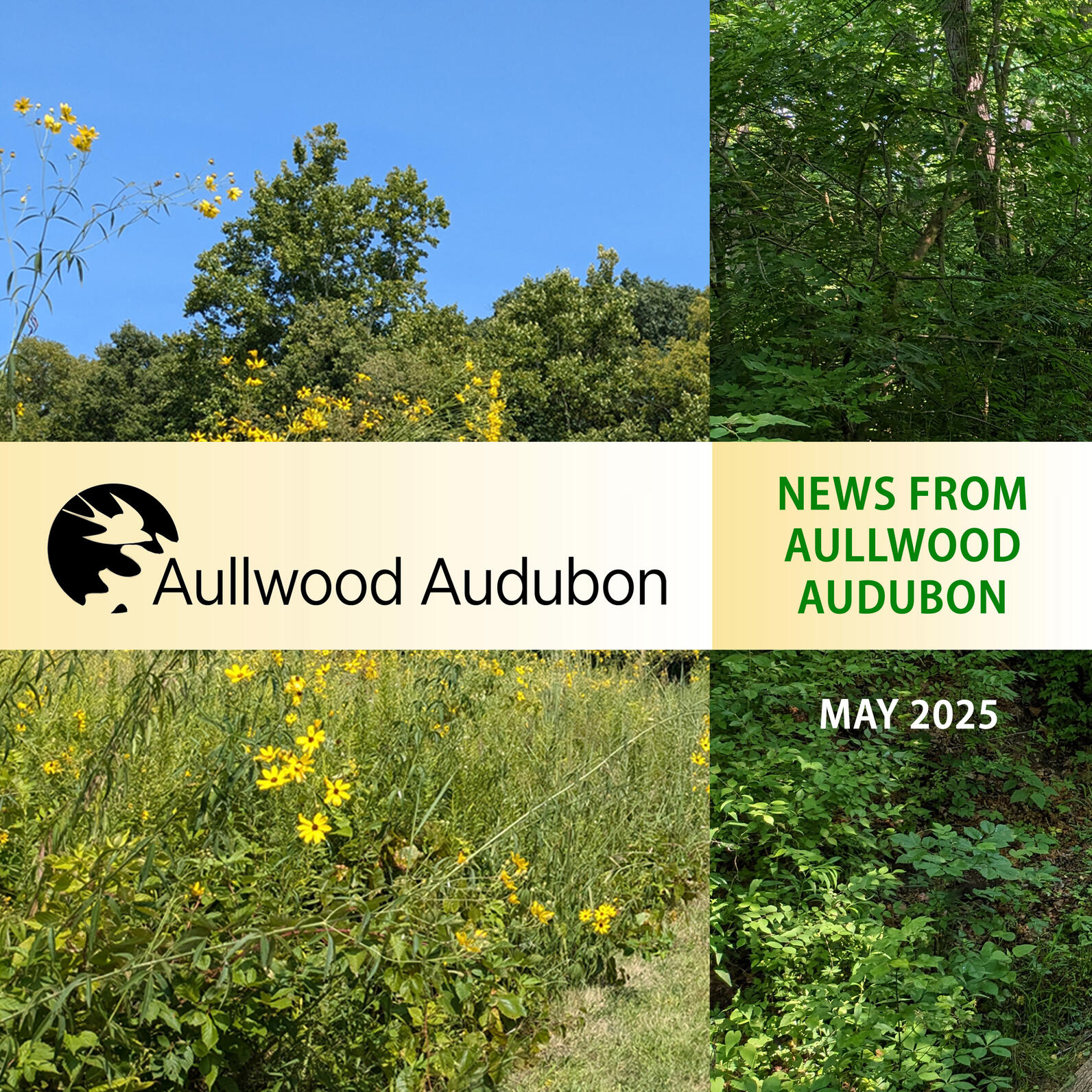 News from Aullwood Audubon Logo May 2025