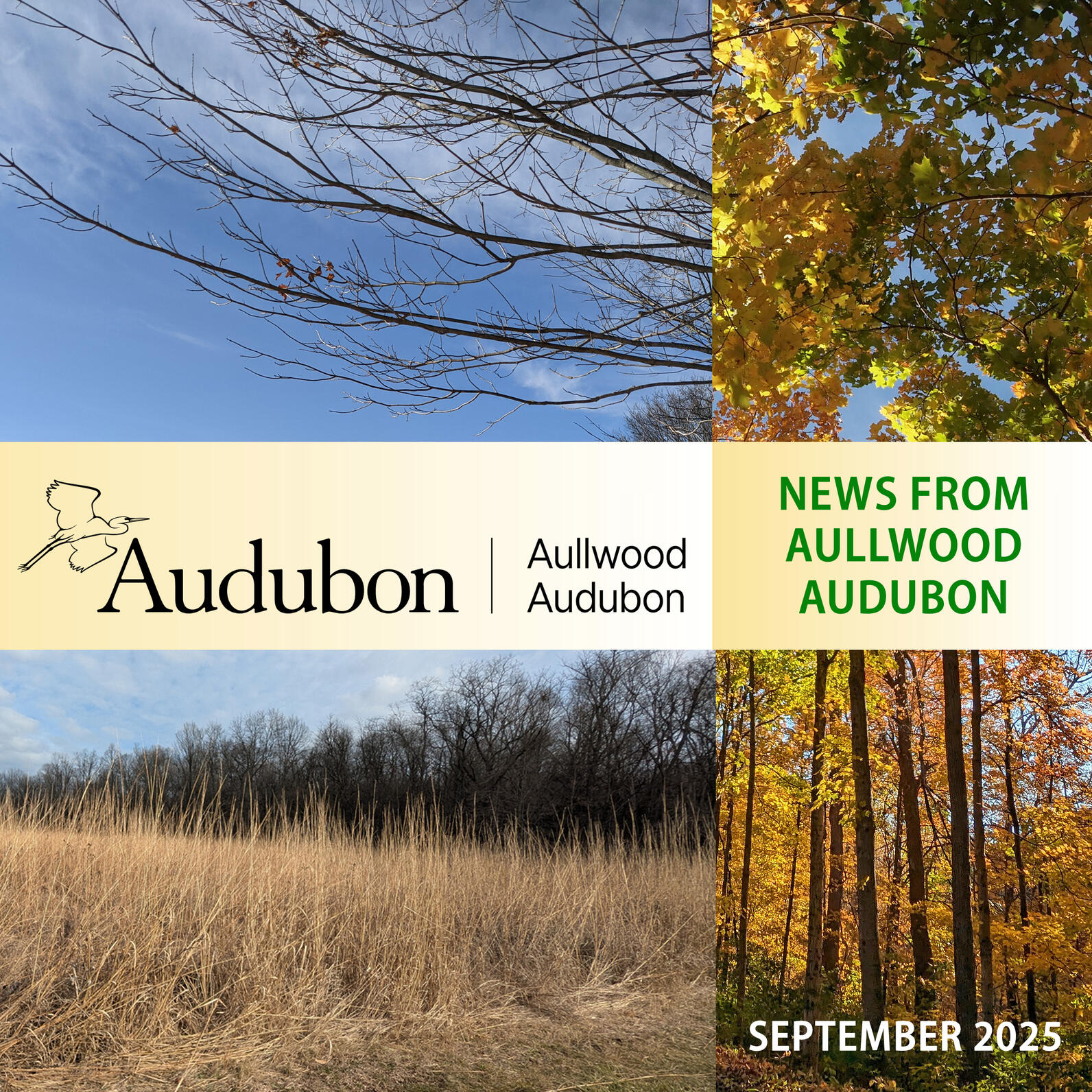 News from Aullwood Audubon September 2025 Header