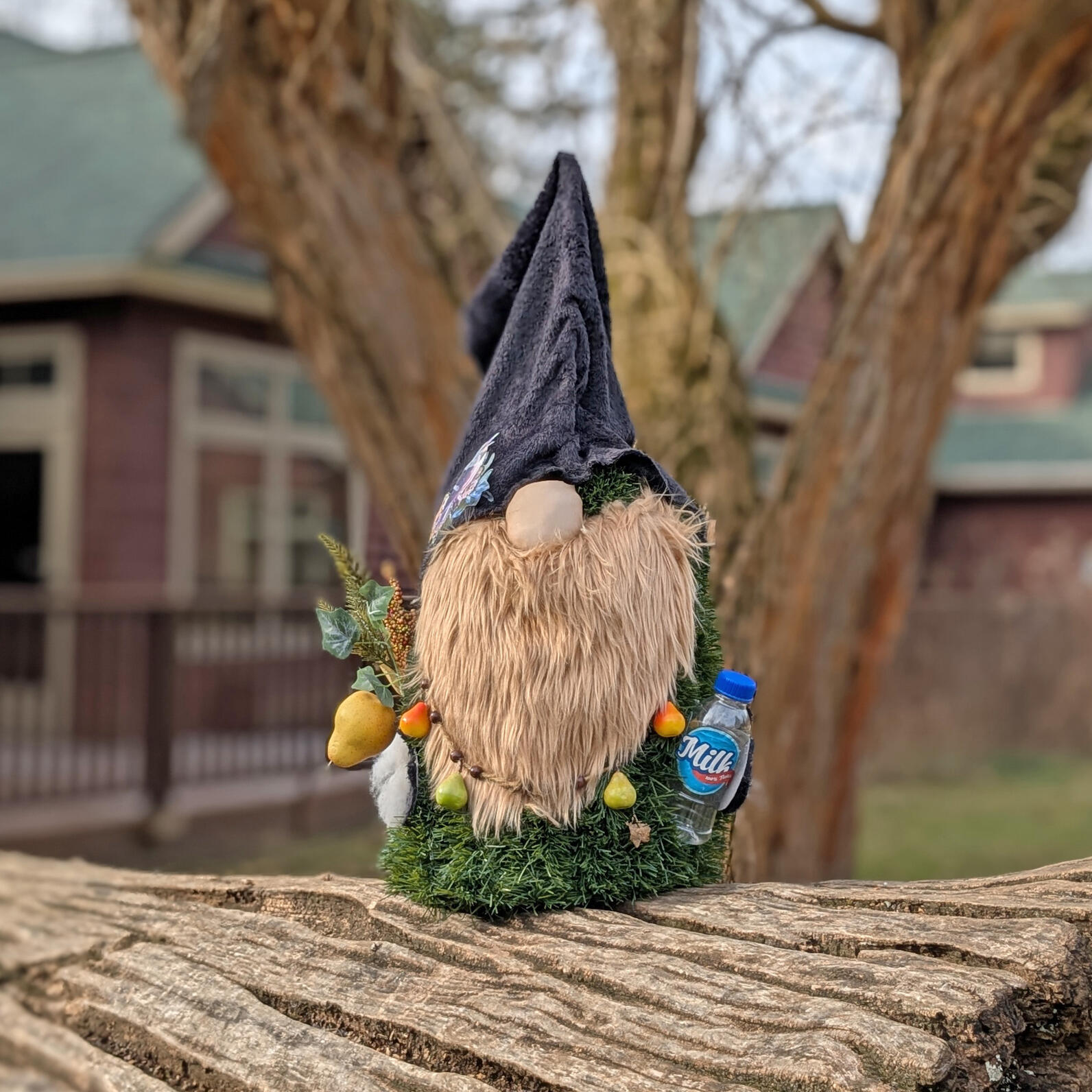 Geo Gnome 2024 Photo: Aullwood Audubon / Ken Fasimpaur
