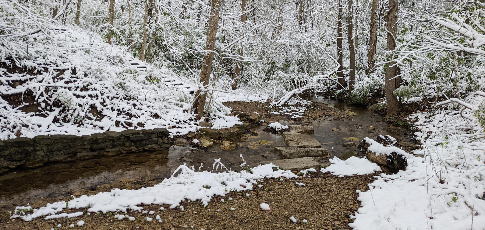 Wiles Creek at Aullwood Audubon 2021 Photo: Aullwood Audubon / Ken Fasimpaur